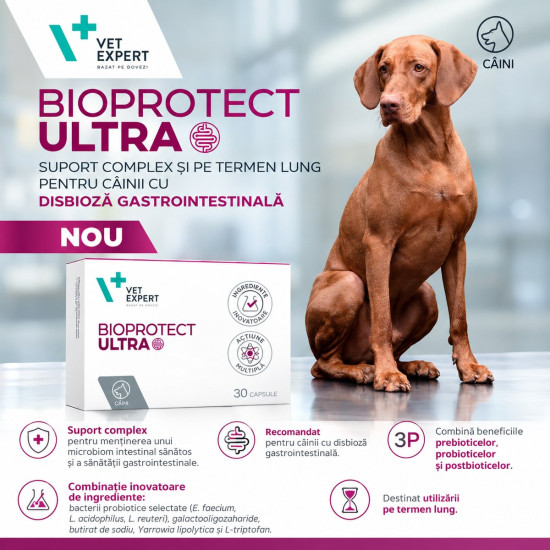 BioProtect ULTRA VetExpert, 30 tablete – suport digestiv pentru câini și pisici